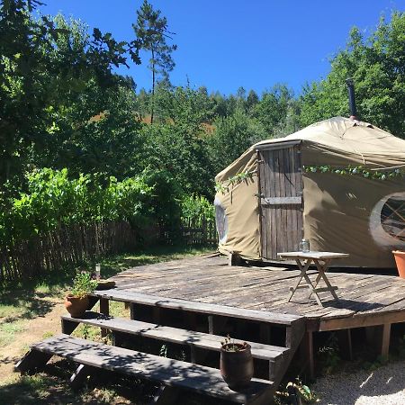 Star Gazing Luxury Yurt With River Views, Off Grid Eco Living Vale do Barco Dış mekan fotoğraf