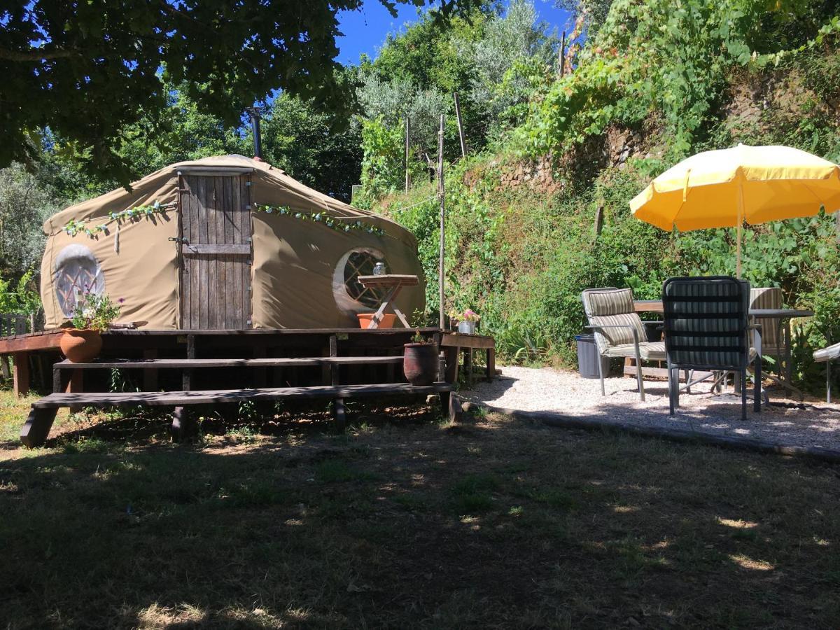 Star Gazing Luxury Yurt With River Views, Off Grid Eco Living Vale do Barco Dış mekan fotoğraf