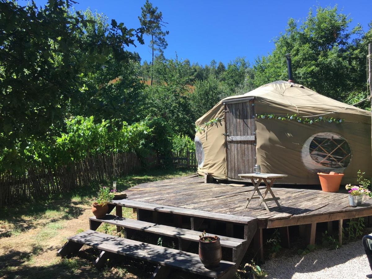 Star Gazing Luxury Yurt With River Views, Off Grid Eco Living Vale do Barco Dış mekan fotoğraf