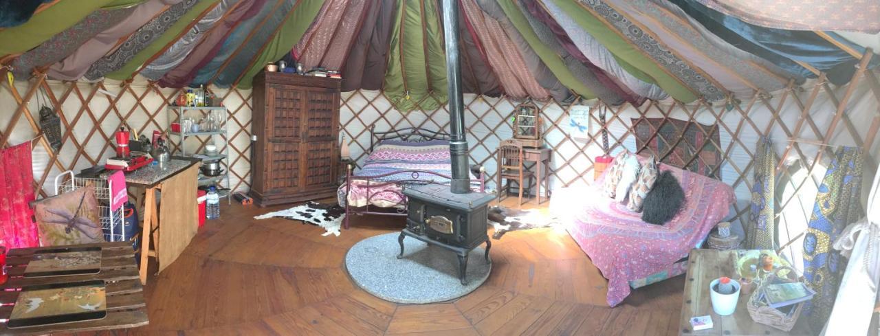 Star Gazing Luxury Yurt With River Views, Off Grid Eco Living Vale do Barco Dış mekan fotoğraf