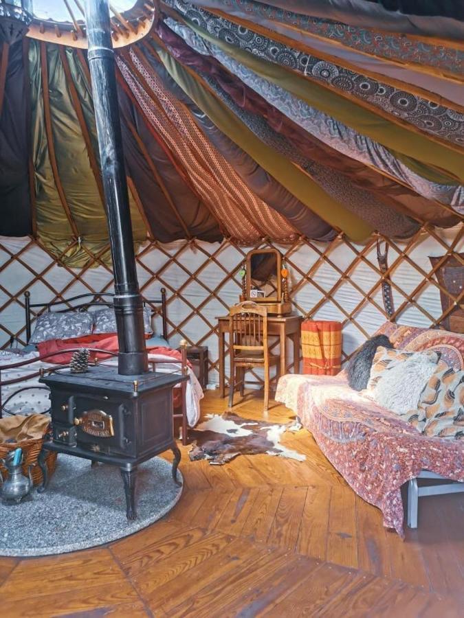 Star Gazing Luxury Yurt With River Views, Off Grid Eco Living Vale do Barco Dış mekan fotoğraf