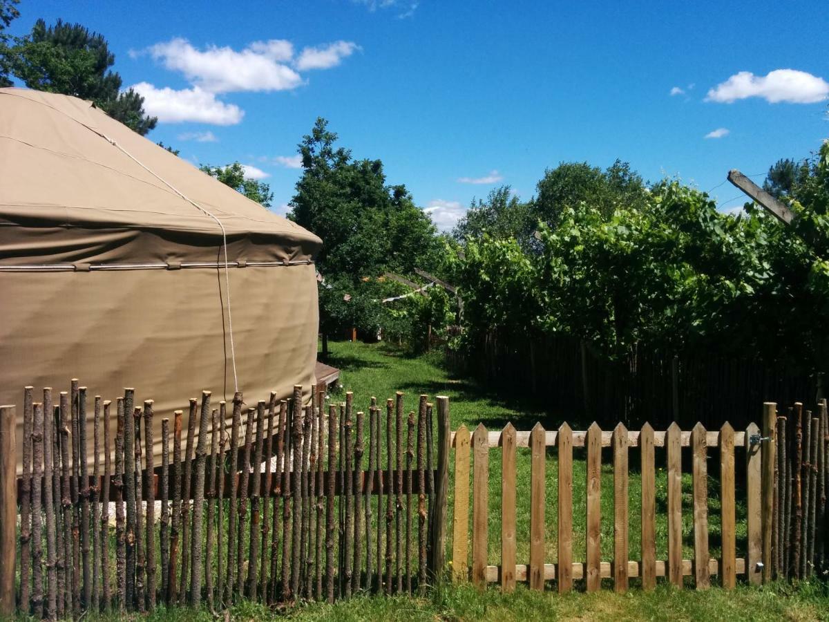 Star Gazing Luxury Yurt With River Views, Off Grid Eco Living Vale do Barco Dış mekan fotoğraf